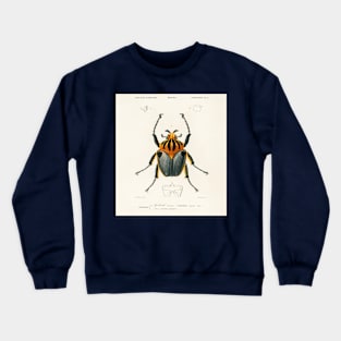 Goliathus cacicus illustrated by Charles Dessalines D' Orbigny Crewneck Sweatshirt